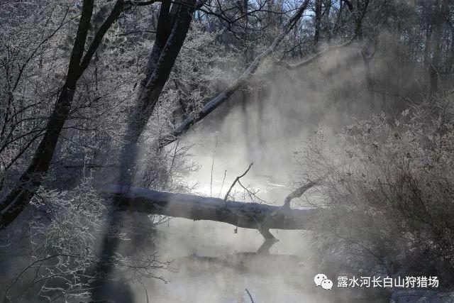 健身房逃生记