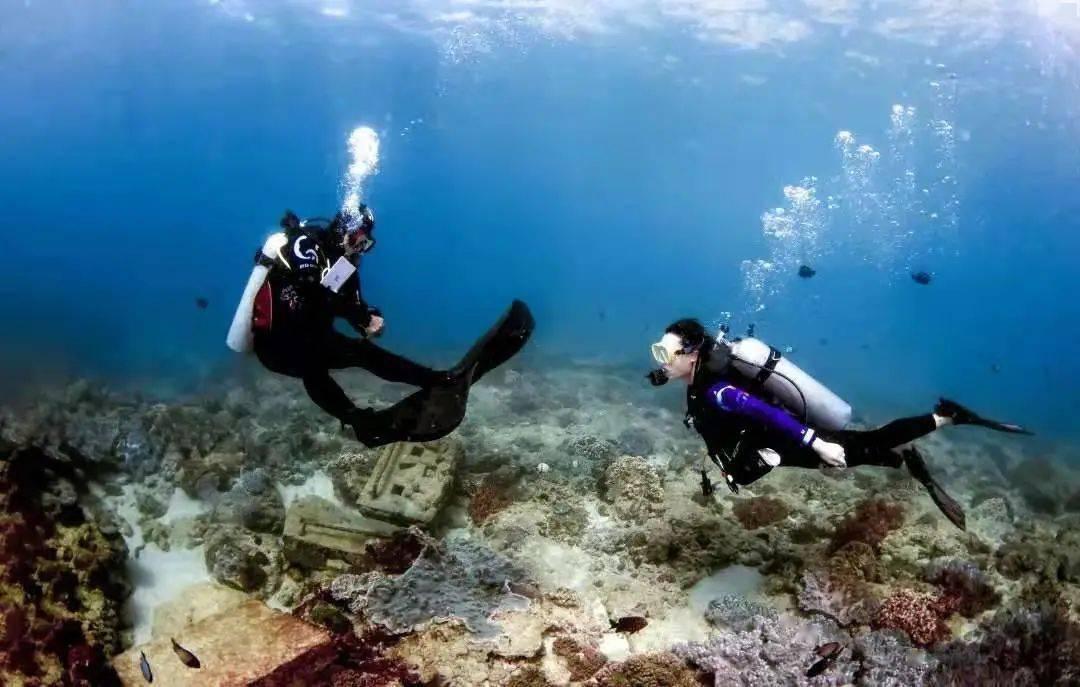 海南省侨联：凝侨心汇侨智聚侨力，以侨联事业高质量发展服务自贸港建设