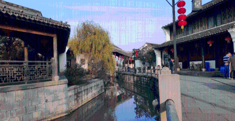 拯救小萌虎